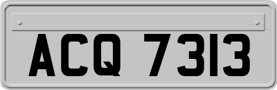 ACQ7313
