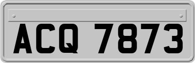 ACQ7873