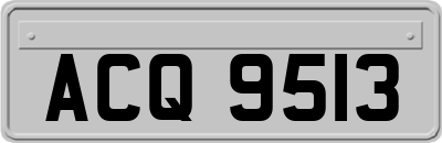 ACQ9513