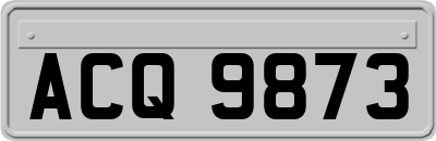 ACQ9873