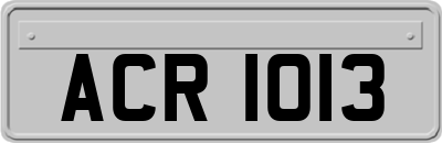 ACR1013