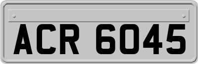 ACR6045