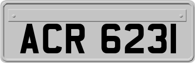 ACR6231