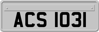 ACS1031