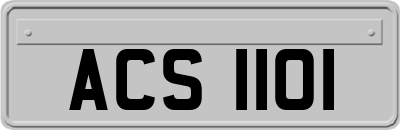 ACS1101