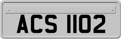 ACS1102