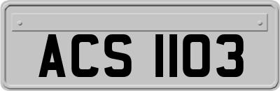 ACS1103