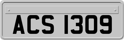 ACS1309
