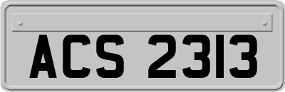 ACS2313