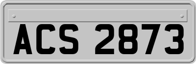 ACS2873
