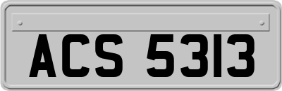 ACS5313