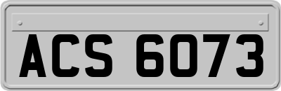 ACS6073