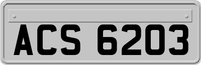ACS6203