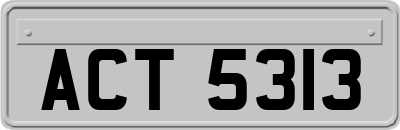 ACT5313