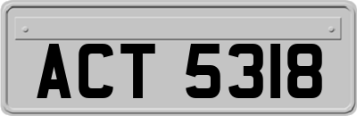 ACT5318