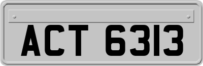 ACT6313