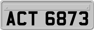 ACT6873