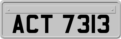 ACT7313