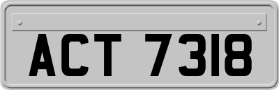 ACT7318