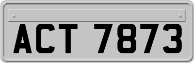 ACT7873