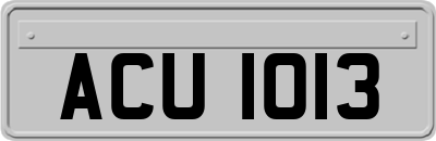 ACU1013