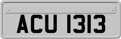 ACU1313