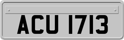 ACU1713