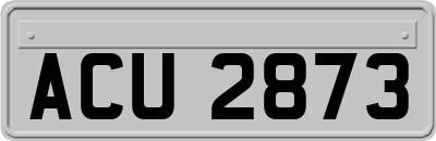 ACU2873
