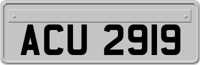 ACU2919