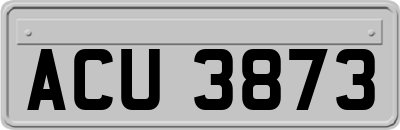 ACU3873