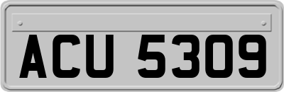 ACU5309