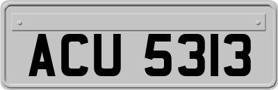 ACU5313