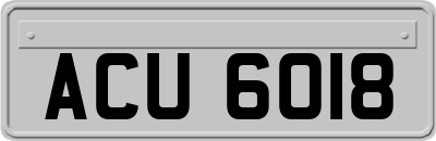 ACU6018
