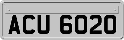 ACU6020