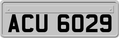 ACU6029