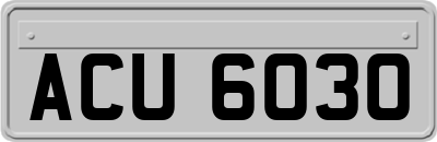 ACU6030