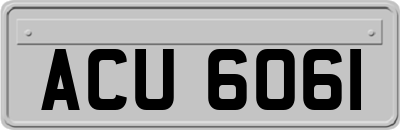 ACU6061