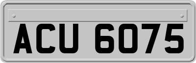 ACU6075