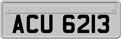 ACU6213