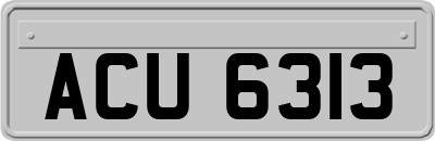 ACU6313