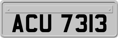 ACU7313