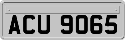 ACU9065