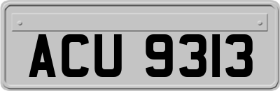 ACU9313