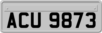 ACU9873