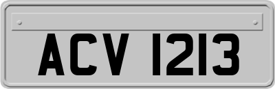 ACV1213