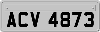 ACV4873