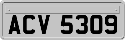 ACV5309