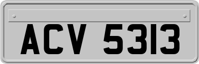 ACV5313