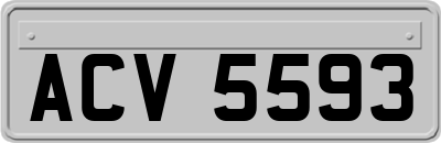 ACV5593