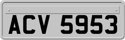 ACV5953